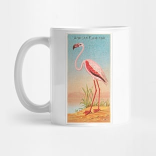 African flamingo Mug